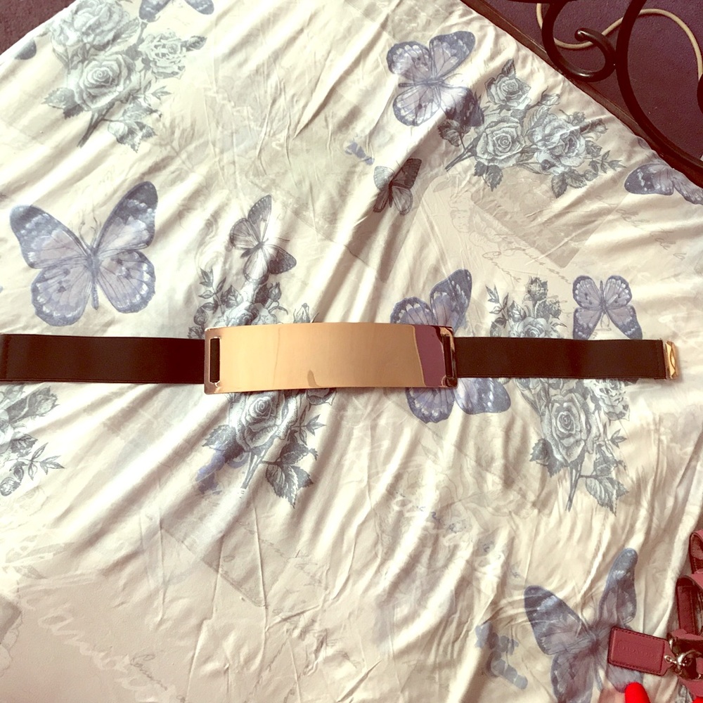 Gold plated belt